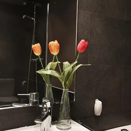 Apartament Olivier *